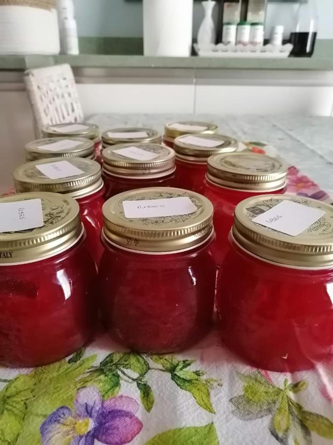B&B Suite Casagrande Pergine Valsugana Bagian luar foto
